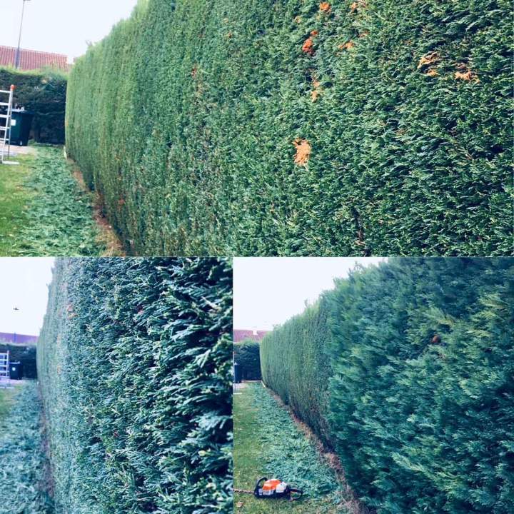 Entretien de jardins Bouloc