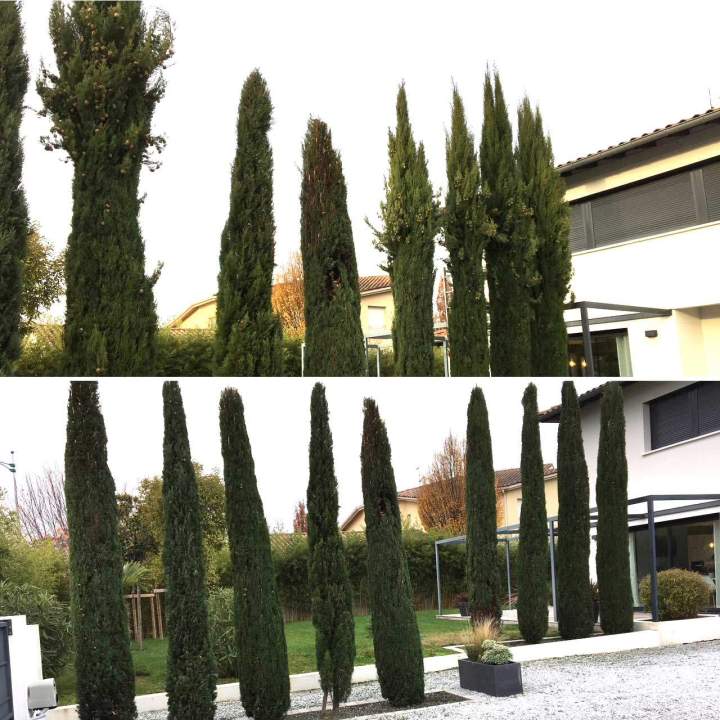 Aménagement paysager Bouloc